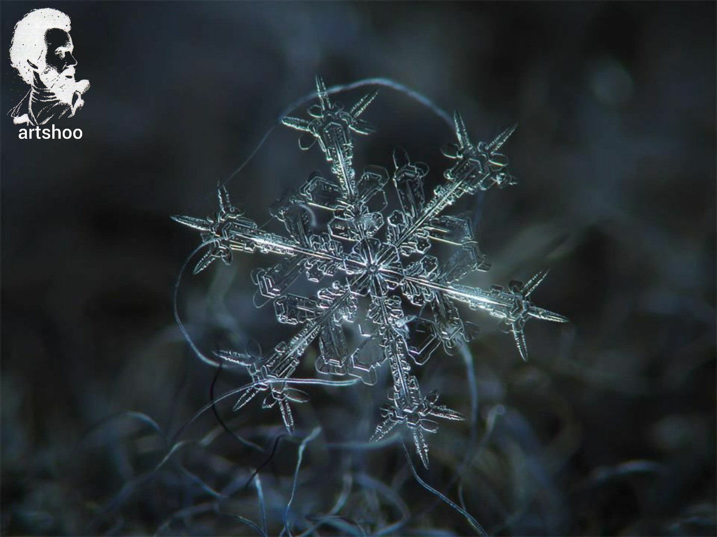 سیاه قلم مدل مداد سفید